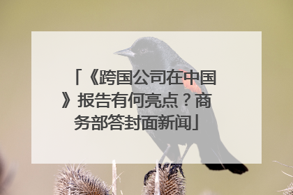《跨国公司在中国》报告有何亮点？商务部答封面新闻