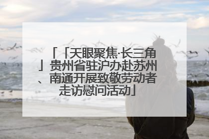 「天眼聚焦·长三角」贵州省驻沪办赴苏州、南通开展致敬劳动者走访慰问活动