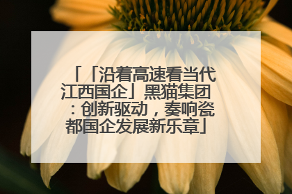 「沿着高速看当代江西国企」黑猫集团：创新驱动，奏响瓷都国企发展新乐章