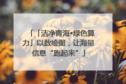 「洁净青海•绿色算力」以数绘图，让海量信息“跑起来”