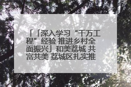 「深入学习“千万工程”经验 推进乡村全面振兴」和美荔城 共富共美 荔城区扎实推进乡村振兴工作