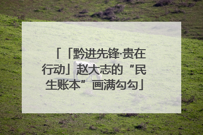 「黔进先锋·贵在行动」赵大志的“民生账本”画满勾勾
