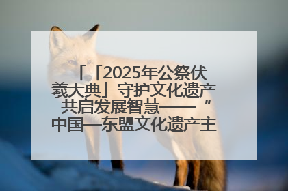 「2025年公祭伏羲大典」守护文化遗产 共启发展智慧——“中国—东盟文化遗产主题对话”侧记