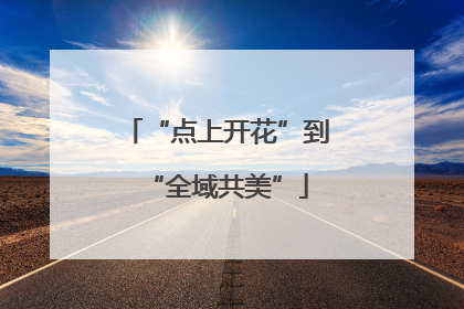 “点上开花”到“全域共美”