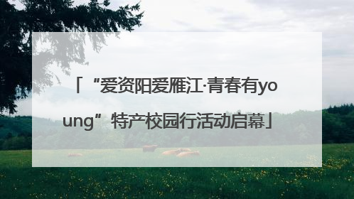 “爱资阳爱雁江·青春有young”特产校园行活动启幕