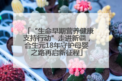 “生命早期营养健康支持行动”走进新疆，合生元18年守护母婴之路再启新征程