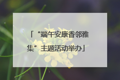 “端午安康香邻雅集”主题活动举办