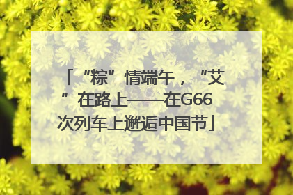 “粽”情端午，“艾”在路上——在G66次列车上邂逅中国节