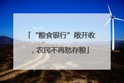 “粮食银行”敞开收，农民不再愁存粮