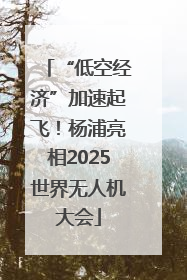 “低空经济”加速起飞！杨浦亮相2025世界无人机大会
