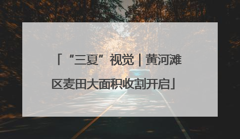 “三夏”视觉｜黄河滩区麦田大面积收割开启