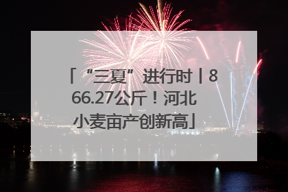 “三夏”进行时丨866.27公斤！河北小麦亩产创新高