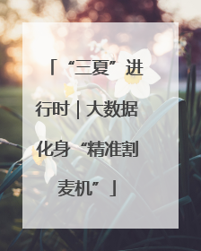“三夏”进行时｜大数据化身“精准割麦机”