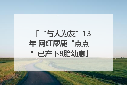 “与人为友”13年 网红麋鹿“点点”已产下8胎幼崽