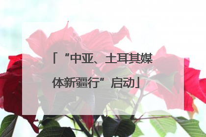 “中亚、土耳其媒体新疆行”启动