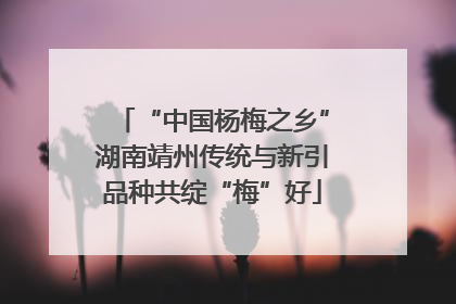 “中国杨梅之乡”湖南靖州传统与新引品种共绽“梅”好