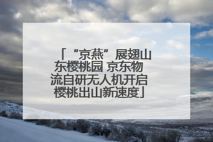 “京燕”展翅山东樱桃园 京东物流自研无人机开启樱桃出山新速度
