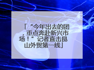 “今年出去的团，重点奔赴新兴市场！”记者直击昆山外贸第一线