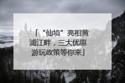 “仙境”亮相黄浦江畔，三大优惠游玩政策等你来
