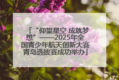 “仰望星空 成就梦想”——2025年全国青少年航天创新大赛青岛选拔赛成功举办