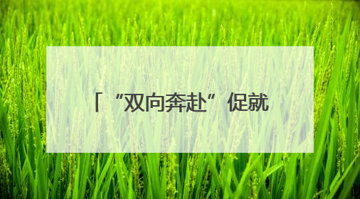 “双向奔赴”促就业 93家企业走进益阳师专“揽才”