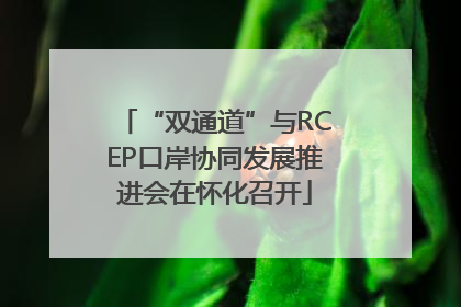 “双通道”与RCEP口岸协同发展推进会在怀化召开