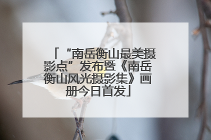 “南岳衡山最美摄影点”发布暨《南岳衡山风光摄影集》画册今日首发