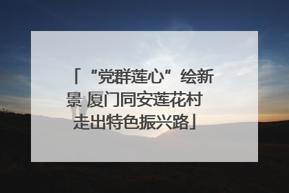 “党群莲心”绘新景 厦门同安莲花村走出特色振兴路