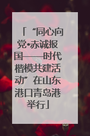 “同心向党•赤诚报国——时代楷模共建活动”在山东港口青岛港举行