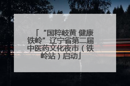 “国粹岐黄 健康铁岭”辽宁省第二届中医药文化夜市（铁岭站）启动