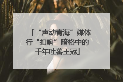 “声动青海”媒体行“扣响”暗格中的千年吐蕃王冠