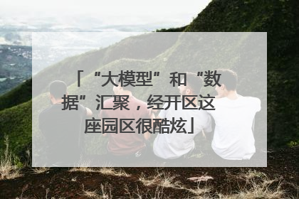“大模型”和“数据”汇聚，经开区这座园区很酷炫