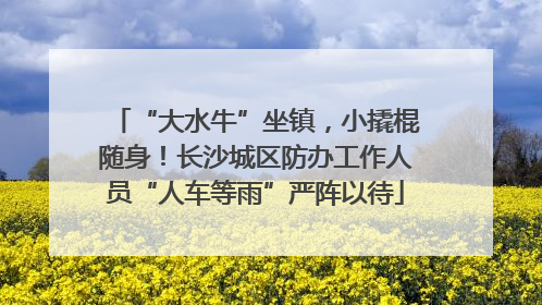 “大水牛”坐镇，小撬棍随身！长沙城区防办工作人员“人车等雨”严阵以待