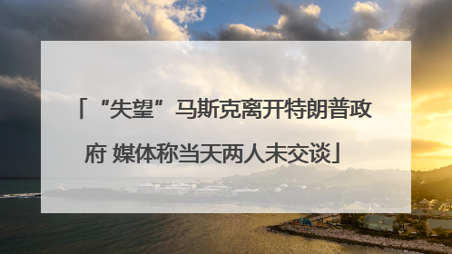 “失望”马斯克离开特朗普政府 媒体称当天两人未交谈