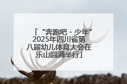 “奔跑吧・少年”2025年四川省第八届幼儿体育大会在乐山圆满举行