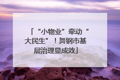 “小物业”牵动“大民生”！舞钢市基层治理显成效