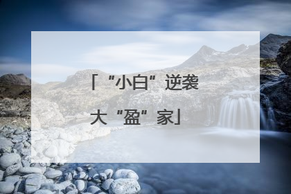 “小白”逆袭大“盈”家