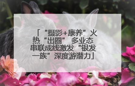 “摄影+康养”火热“出圈” 多业态串联成线激发“银发一族”深度游潜力