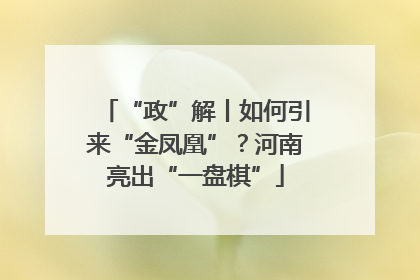 “政”解丨如何引来“金凤凰”？河南亮出“一盘棋”