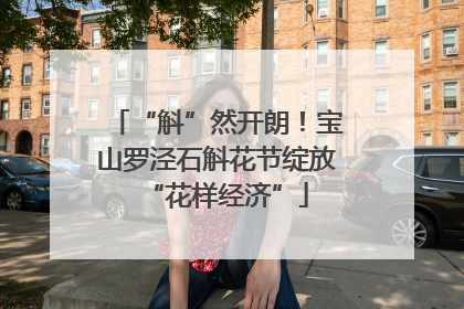“斛”然开朗！宝山罗泾石斛花节绽放“花样经济”