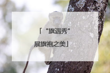 “旗遇秀”展旗袍之美