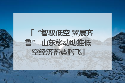 “智驭低空 翼展齐鲁” 山东移动助推低空经济蓄势腾飞