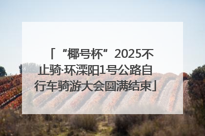 “椰号杯”2025不止骑·环溧阳1号公路自行车骑游大会圆满结束