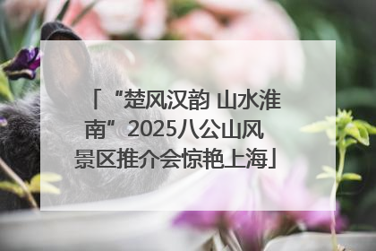 “楚风汉韵 山水淮南”2025八公山风景区推介会惊艳上海