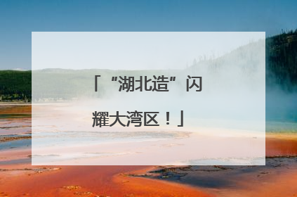 “湖北造”闪耀大湾区！