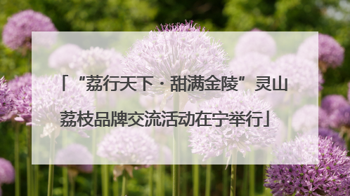 “荔行天下・甜满金陵”灵山荔枝品牌交流活动在宁举行