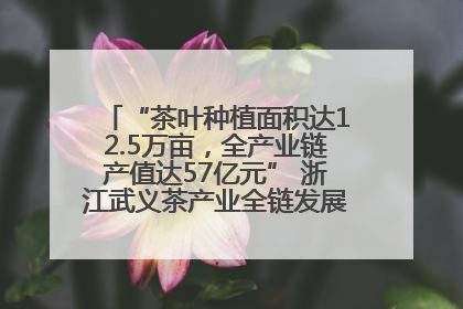 “茶叶种植面积达12.5万亩，全产业链产值达57亿元” 浙江武义茶产业全链发展“加速度”