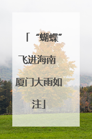 “蝴蝶”飞进海南 厦门大雨如注