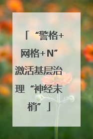 “警格+网格+N”激活基层治理“神经末梢”