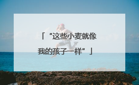 “这些小麦就像我的孩子一样”